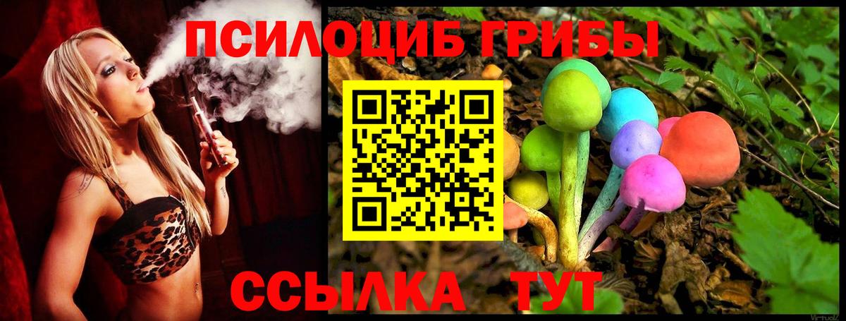 Киреевск  Галлюциногенные грибы прущие грибы  Вход с VPN 